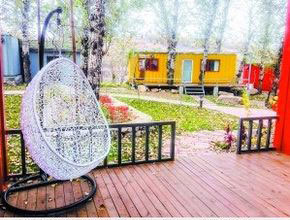 集裝箱旅店坐落在樹林之間，別有一番山野風味