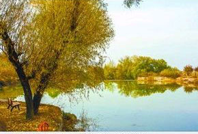 集裝箱旅店周圍的環境優美，適合散心